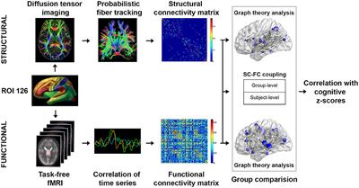 Frontiers | Alterations In Brain Network Topology And Structural ...